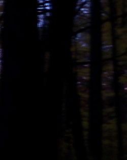 Backpacking in the Dead of Night