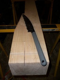 Japanise Pull Saw