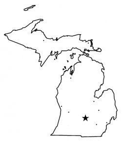 Treasure in Michigan