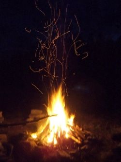 Treasure Hot Wash