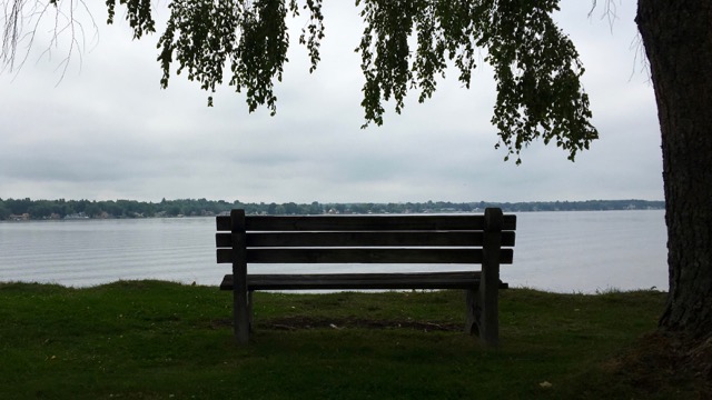 Shady Bench