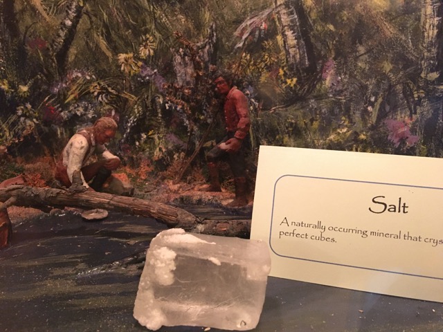 Salt Collection