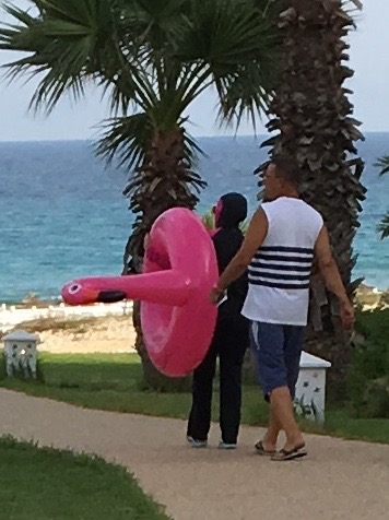 Tunisian Flamingo