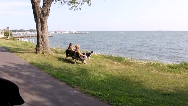 Bench on the Lake